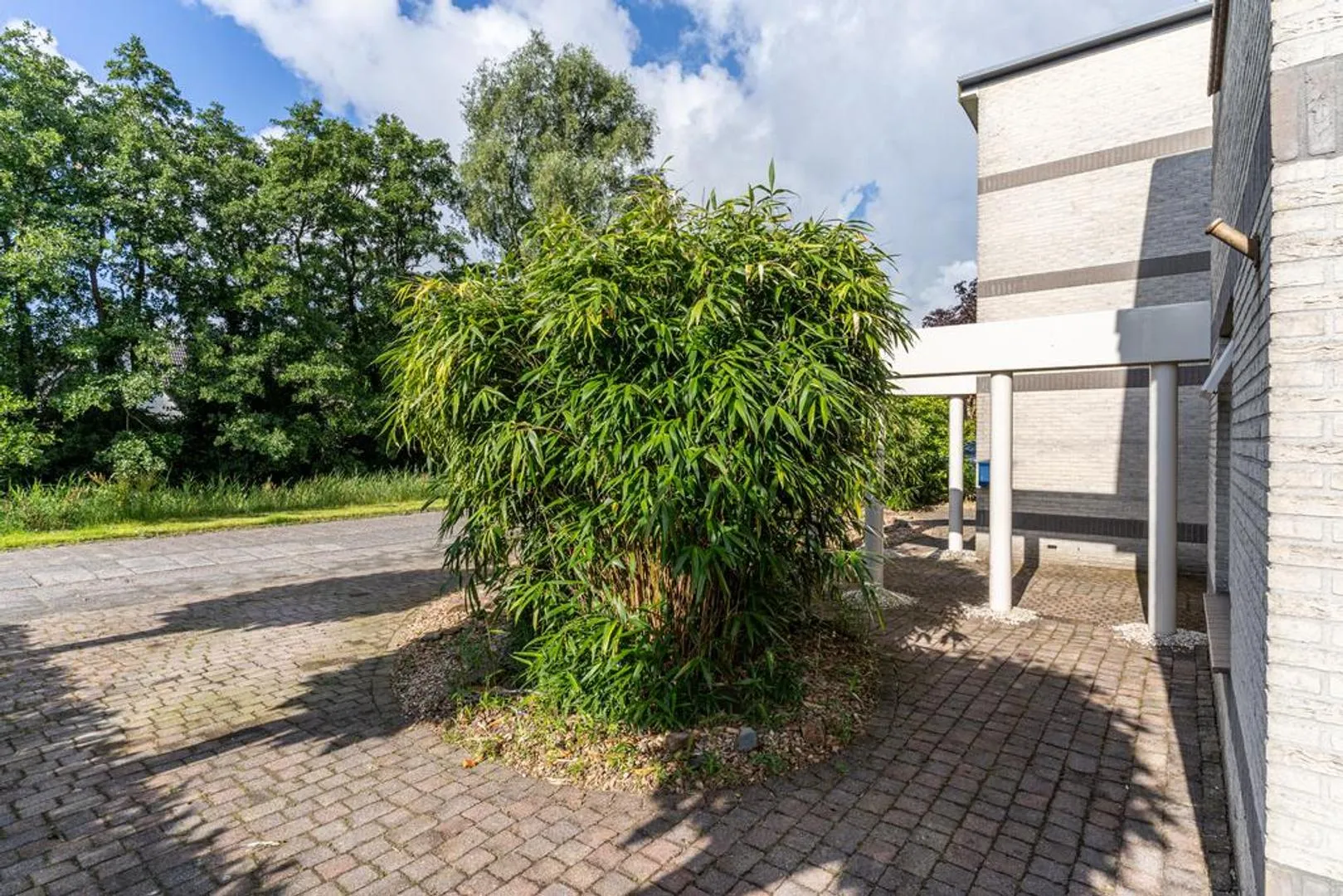 189982825.jpg