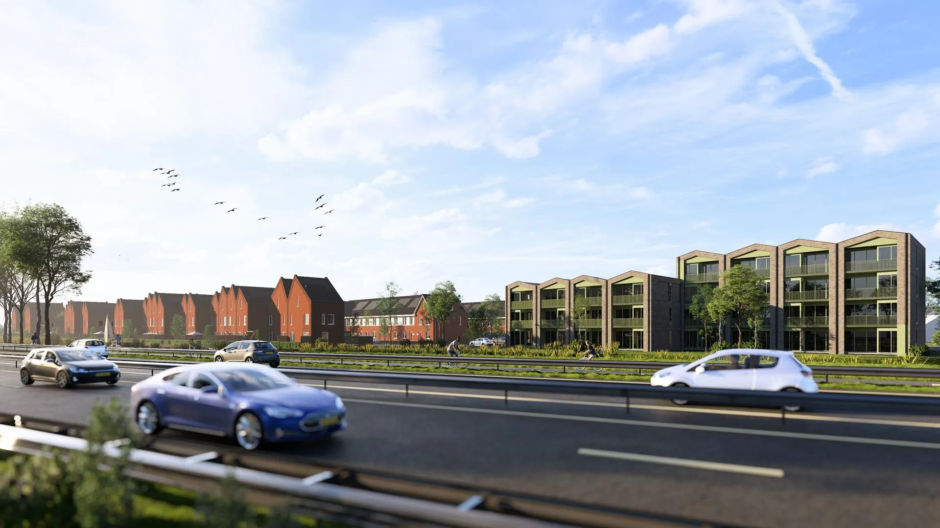 5950DO_20241003_ring