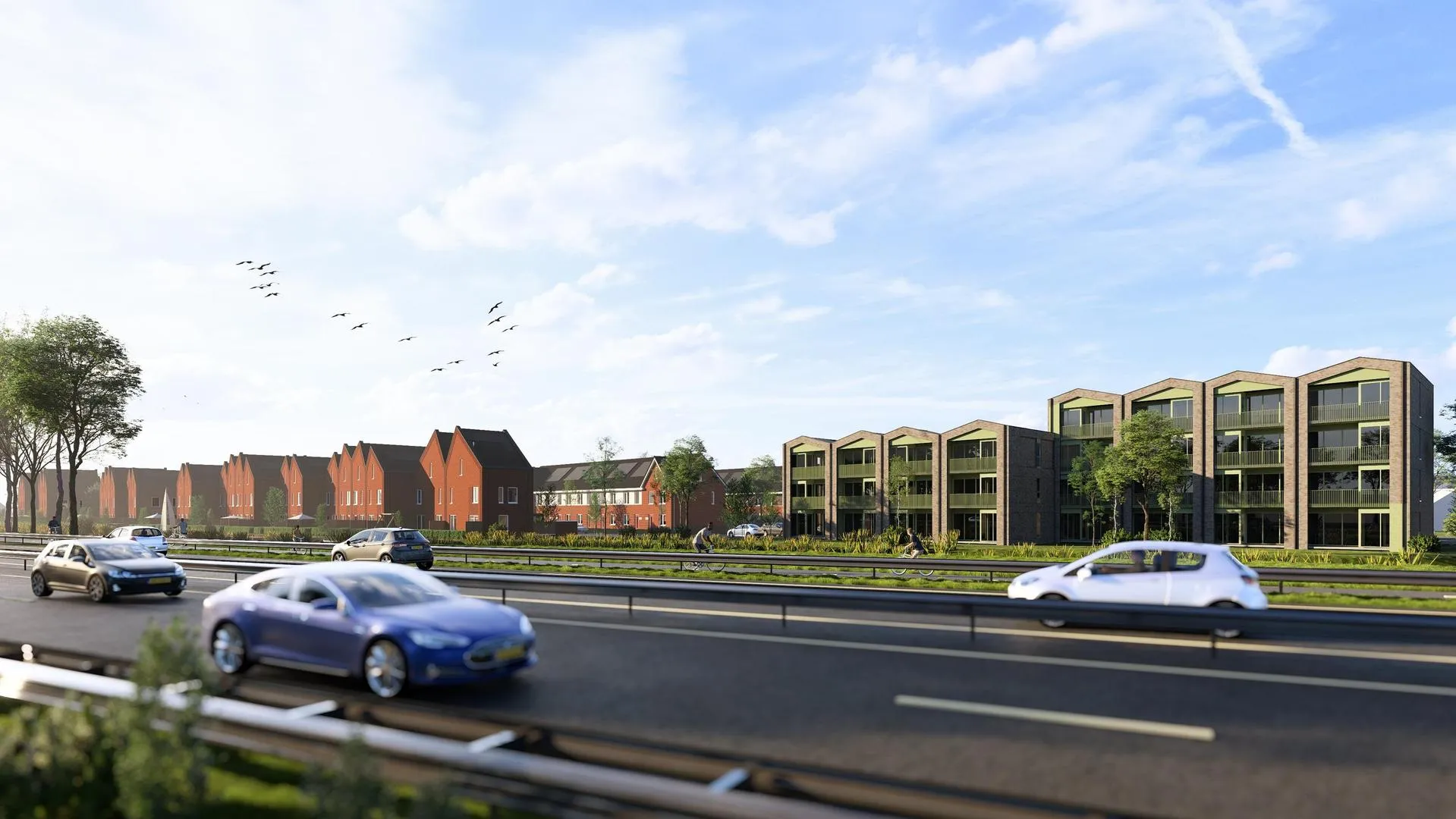 5950DO_20241003_ring