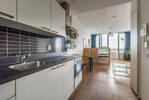 Bos En Lommerplantsoen 33 – E