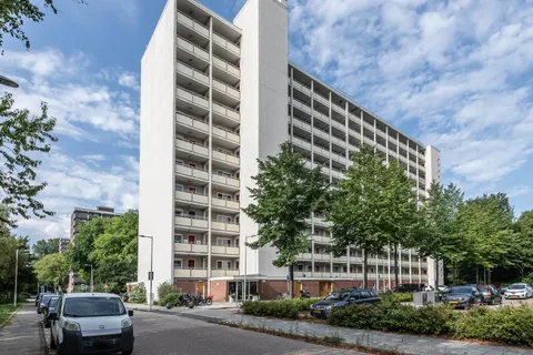 240883358.jpg foto-29