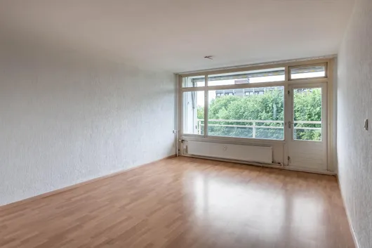 240883370.jpg foto-3