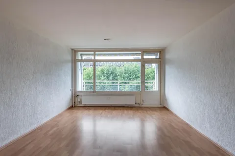 240883374.jpg foto-6