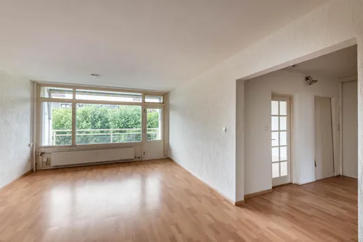 240883378.jpg foto-2