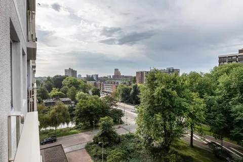 240883392.jpg foto-4