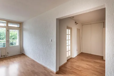 240883462.jpg foto-16