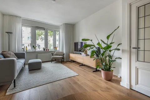Van Woustraat 229 – 1