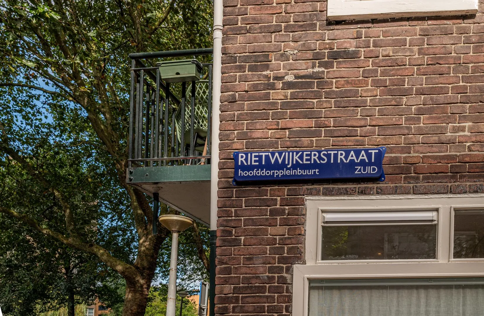 295762351.jpg