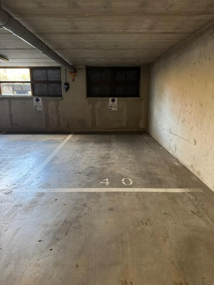 252851988.jpg