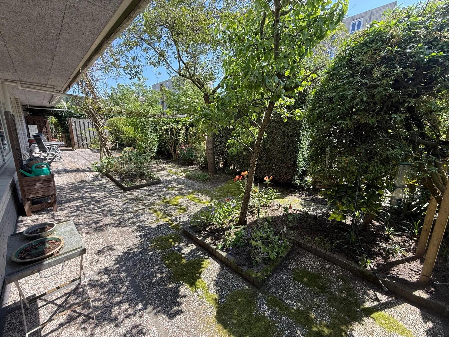 281904941.jpg