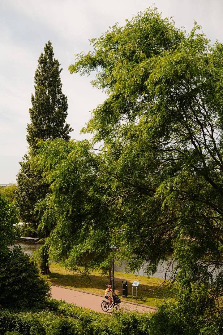 280084326.jpg