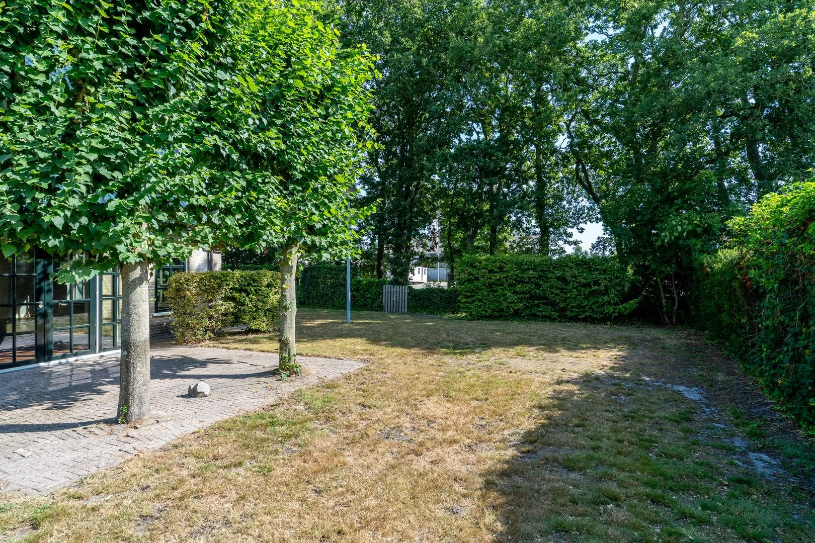 288310869.jpg