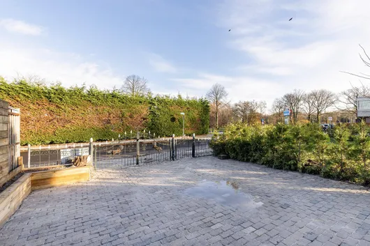 164801991.jpg foto-3