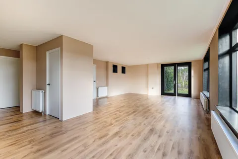 164802019.jpg foto-15