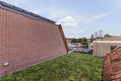 164802069.jpg foto-39