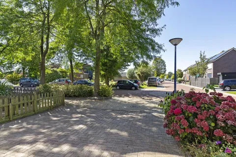 194635453.jpg foto-12