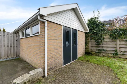 217829647.jpg foto-32